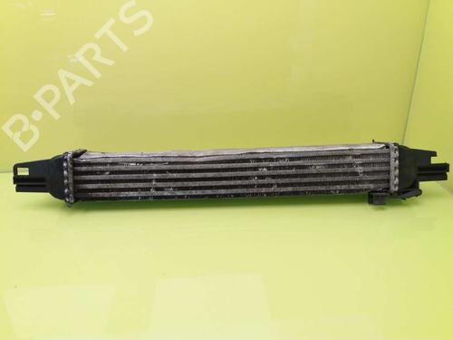 Intercooler PEUGEOT BIPPER (AA_) 1.4 HDi | BP3014033M30 - Image 2