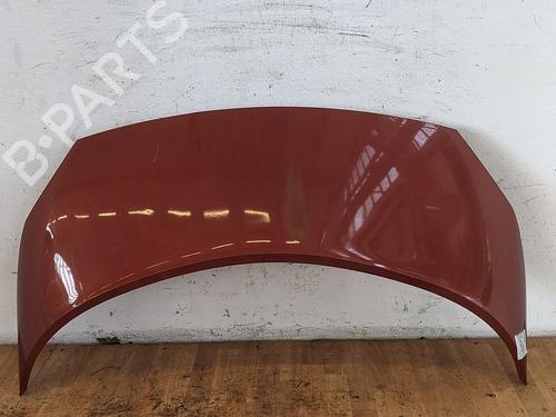 Motorhjelm RENAULT GRAND SCÉNIC II (JM0/1_) 1.9 dCi (JM14) (131 hp) 31785044