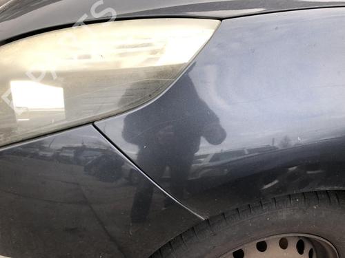 Left front fenders RENAULT SCÉNIC III (JZ0/1_) 1.9 dCi (JZ0J, JZ1J, JZ1K, JZ1S) | BP31791276C41