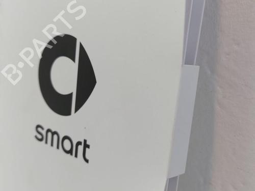 Andre SMART #1 EV All-wheel Drive | BP31789077O1