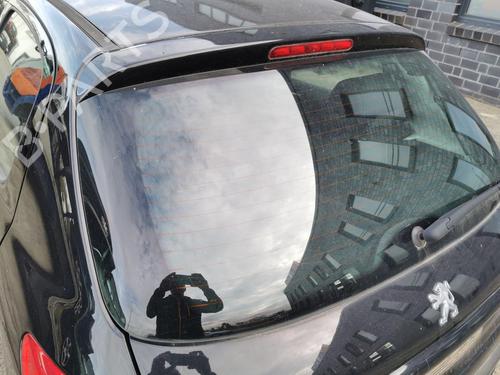 Tailgate PEUGEOT 206+ (2L_, 2M_) 1.1 | BP31790687C6 