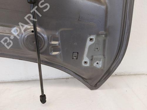 Hood RENAULT MEGANE III Hatchback (BZ0/1_, B3_) 1.2 TCe (BZ2B, BZ11) | BP31791623C1