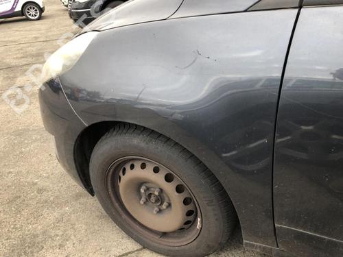 Left front fenders RENAULT SCÉNIC III (JZ0/1_) 1.9 dCi (JZ0J, JZ1J, JZ1K, JZ1S) | BP31791276C41