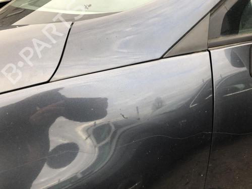 Left front fenders RENAULT SCÉNIC III (JZ0/1_) 1.9 dCi (JZ0J, JZ1J, JZ1K, JZ1S) | BP31791276C41