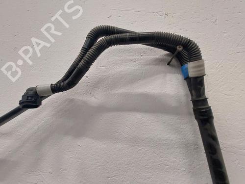 Other TESLA MODEL Y (5YJY) Long Range All-wheel Drive | BP31788102O1