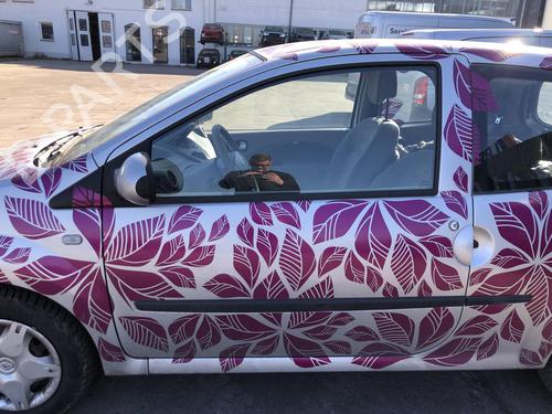 left-front-door-renault-twingo-ii-cn0_-2007-31959018 main image