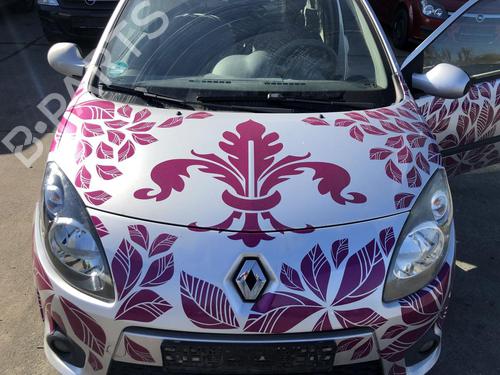 hood-renault-twingo-ii-cn0_-2007-31789203 main image