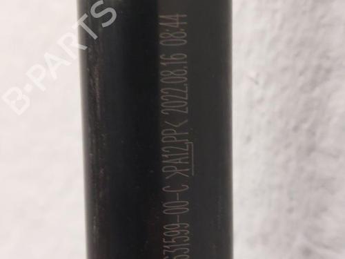 Other TESLA MODEL Y (5YJY) Long Range All-wheel Drive | BP31788103O1