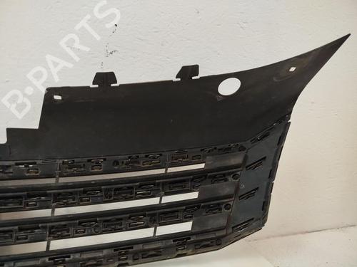 Grille VW PASSAT B7 Variant (365) 2.0 TDI | BP32483431C40