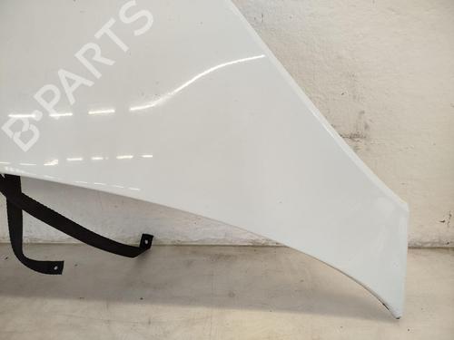 Hood SMART FORTWO Coupe (451) 0.8 CDi (451.301) | BP31791399C1 