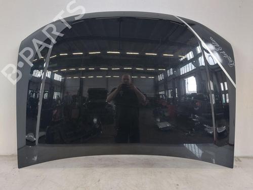 Used Hood Hood DACIA DUSTER (HS_) 1.5 dCi 4x4 (HSMC, HSMD) (110 hp) 34043761 34043761