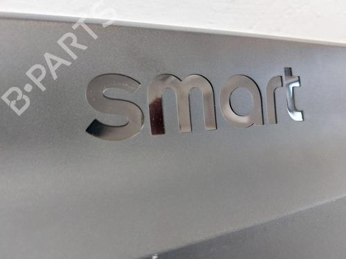 Andre SMART #1 EV All-wheel Drive | BP31789144O1 