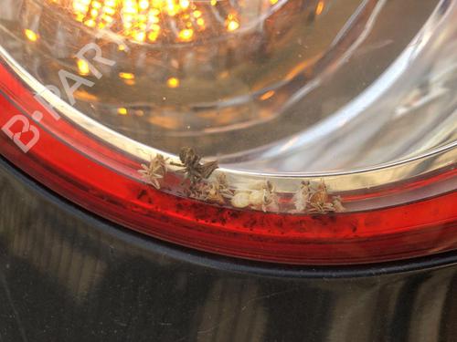 Left taillight VW JETTA III (1K2) 1.6 FSI | BP31790105C34 