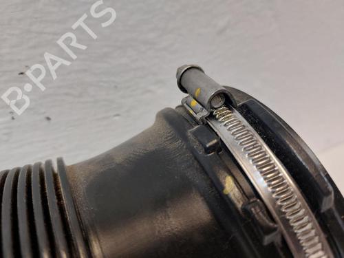 Other VW GOLF VIII Variant (CG5, DB5) 1.0 TSI | BP31791469O1 