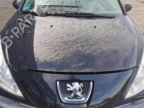 Motorhjelm PEUGEOT 206+ (2L_, 2M_) 1.1 (60 hp) 31790690