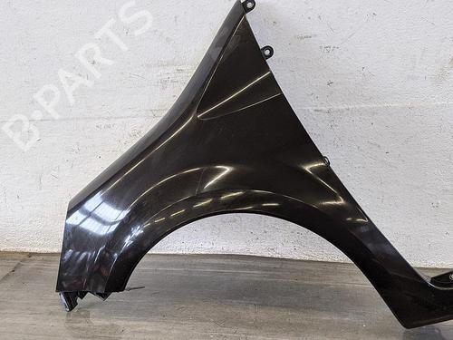 Guarda-lamas esquerdo RENAULT MODUS / GRAND MODUS (F/JP0_) 1.6 (JP0L, JP0V) (88 hp) 31782427