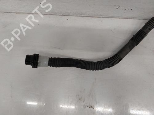 Other TESLA MODEL Y (5YJY) Long Range All-wheel Drive | BP31788134O1 