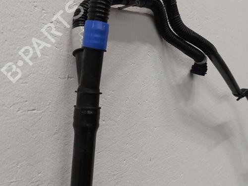 Other TESLA MODEL Y (5YJY) Long Range All-wheel Drive | BP31788102O1