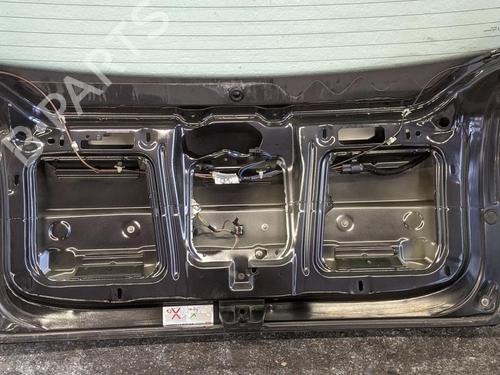 Tailgate OPEL SIGNUM Hatchback (Z03) 1.9 CDTI (F48) | BP31786883C6 