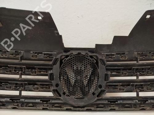 Grille VW PASSAT B7 Variant (365) 2.0 TDI | BP32483431C40
