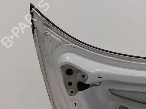 Bagklap CC/Kombi-Coupé VW PASSAT CC B6 (357) 2.0 TDI | BP31787786C6 