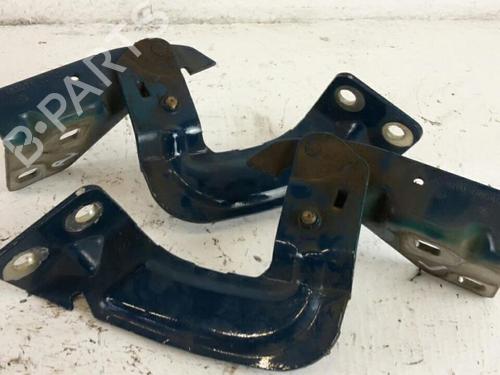 Used Hinge/Door check strap RENAULT KANGOO (KC0/1_) 1.2 16V (KC05, KC06, KC03, KC0T, KC0W, KC1D) (75 hp) 31781099