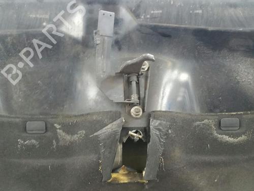 Hood JAGUAR XF I (X250) 2.7 D | BP31780053C1 