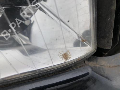 Right headlight AUDI A4 B6 Avant (8E5) 2.5 TDI | BP33629969C29 - Image 5