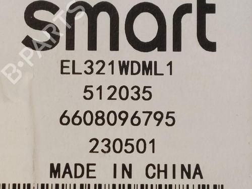 Display SMART #1 EV All-wheel Drive | BP31790534C48 