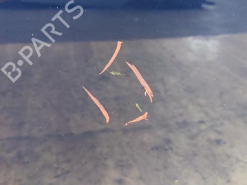 Hood RENAULT CLIO IV (BH_) 1.2 16V (BHA1, BHAK, BHMG, BHMK) | BP31785330C1 