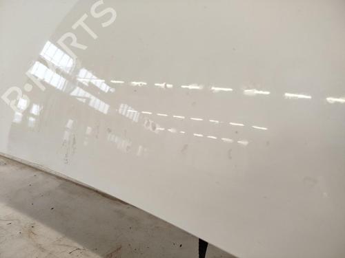 Hood SMART FORTWO Coupe (451) 0.8 CDi (451.301) | BP31791399C1 