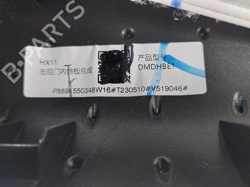 Venstre bakpanel SMART #1 EV All-wheel Drive | BP31790520C60 