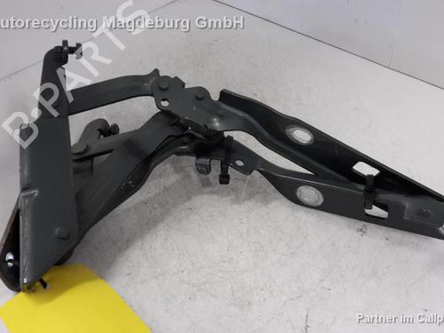 Used Hinge/Door check strap VW GOLF V (1K1) 1.4 16V (75 hp) 31778894