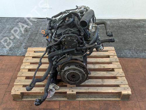 Engine VW GOLF V (1K1) 1.9 TDI 4motion | BP31786554M1 