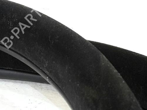 Rubber door seal JAGUAR XF I (X250) 2.7 D | BP31780227C142