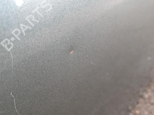 Other RENAULT THALIA I (LB_) 1.5 dCi | BP31787304O1 