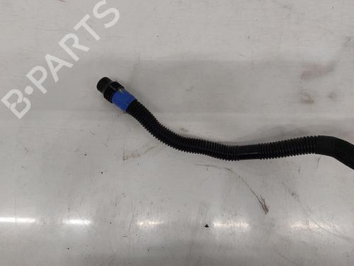 Other TESLA MODEL Y (5YJY) Long Range All-wheel Drive | BP31788135O1 