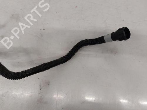 Other TESLA MODEL Y (5YJY) Long Range All-wheel Drive | BP31788135O1 