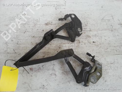 Hinge/Door check strap VW PASSAT B6 (3C2) 2.0 TDI 16V | BP31779209C146