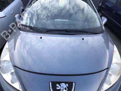 Panser Panser PEUGEOT 207 SW (WK_) 1.4 16V (95 hp) 33219109 33219109