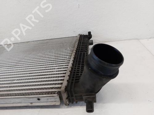 Intercooler VW TIGUAN (5N_) 2.0 TDI 4motion | BP31788261M30