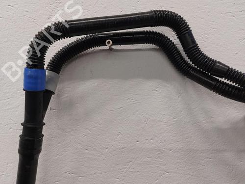 Other TESLA MODEL Y (5YJY) Long Range All-wheel Drive | BP31788102O1