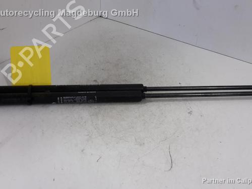 Amortiguador portón/maletero FIAT BRAVO II (198_) 1.4 T-Jet (198AXG1B) (120 hp) 31778846