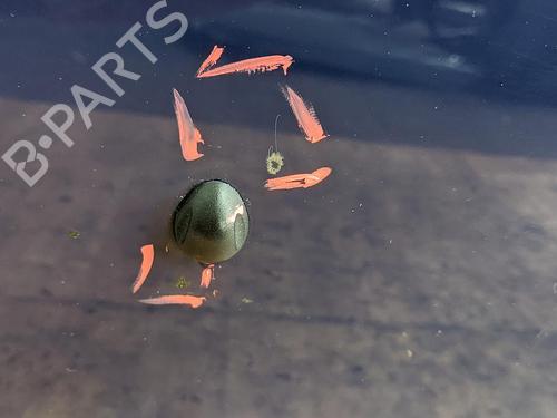 Hood RENAULT CLIO IV (BH_) 1.2 16V (BHA1, BHAK, BHMG, BHMK) | BP31785330C1 