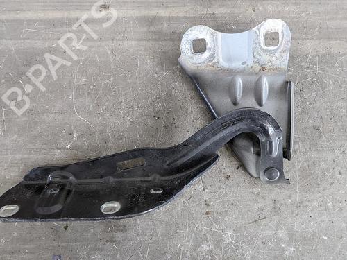 Dørhengsel/Dørstopper RENAULT TWINGO II (CN0_) 1.2 Turbo (CN0C, CN0F) (100 hp) 31784436