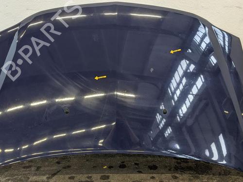 Capot DACIA LOGAN MCV (KS_) 1.6 (KS0B, KS0D, KS0F) (87 hp) 31786385