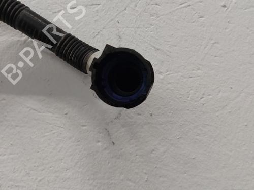 Other TESLA MODEL Y (5YJY) Long Range All-wheel Drive | BP31788104O1 