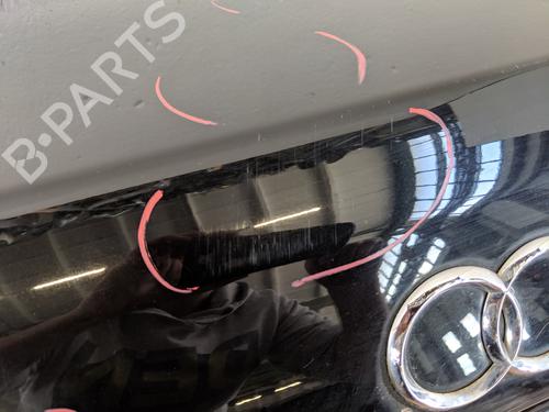 Tailgate AUDI A8 D3 (4E2, 4E8) 4.2 TDI quattro | BP31779737C6 