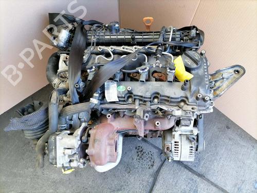 Engine KIA VENGA (YN) 1.6 CRDi 128 | BP31774842M1  - Image 8