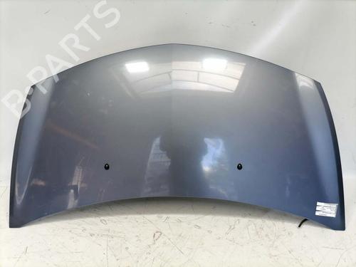 hood-renault-clio-iii-br01-cr01-2005-2006-2007-2008-2009-2010-2011-2012-2013-2014-31773144 main image